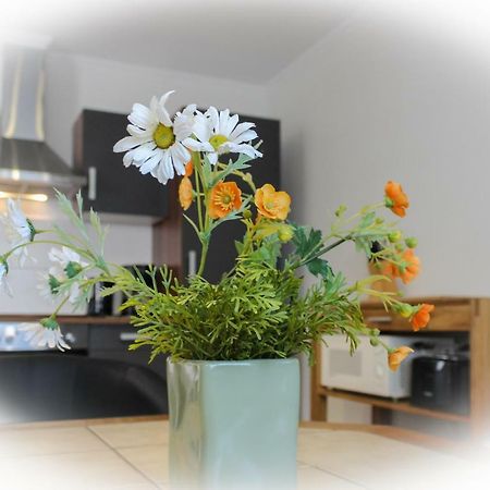 Ferienwohnung Kressmann Neppermin ภายนอก รูปภาพ